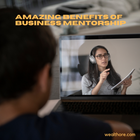 Amazing Benefits of Business Mentorship and How to Find a Mentor